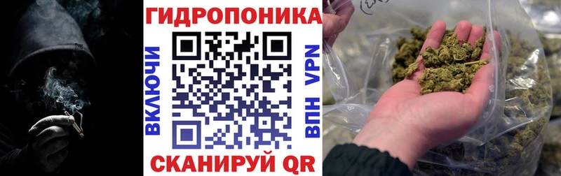 Конопля Amnesia  Купить закладки  Луга 